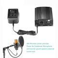 Hochwertiger 48v Phantom-Mikrofon-Mikrofonvorverstärker mit Stromversorgung